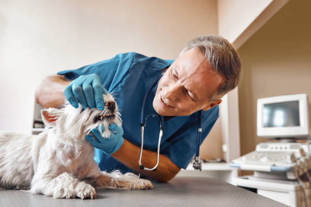 Best Cracked Tooth Emergency Dentist  in Running Springs, CA